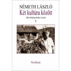   Két kultúra között. Művelődéspolitikai írások 1. kötet