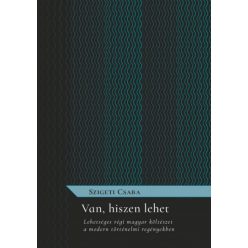   Van, hiszen lehet - Lehetséges régi magyar költészet a modern történelmi regényekben