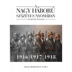   A nagy háború százéves nyomában: Szarajevótól Trianonig – 2. kötet: 1916–1917–1918