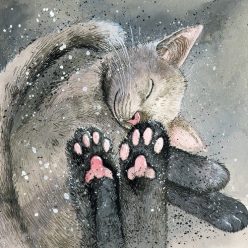 Képeslap Alex Clark borítékkal, 14x14 cm, alvó cica